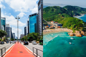 Imagens LP No Precinho - Bloco secundario - SaopauloxFloripa